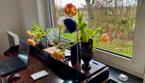 Ferien im Brookmerland - Photo 3