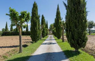 Casa Carlotta - Photo 7