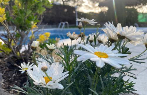 Villa Herlinda Costa Brava - With Swimming Pool - Foto 9