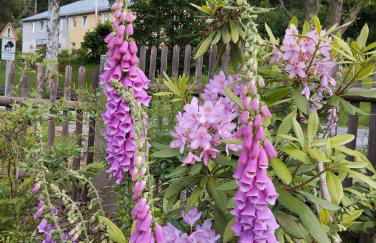 Sophienquelle Schweizermühle - Foto 36