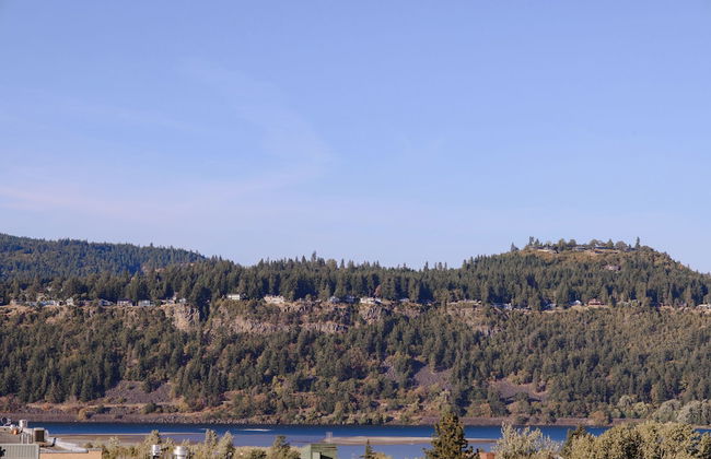 Horsefeathers Hotel - Foto 49