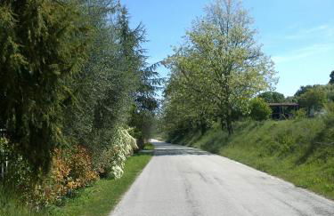 Agriturismo Fonte Carra - Foto 6