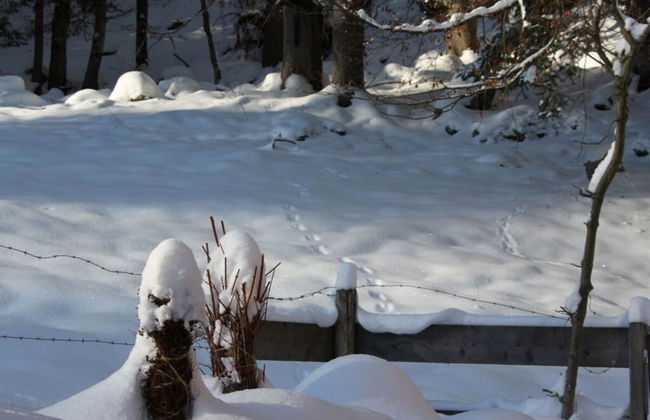 Waterval in het Huis Boshoek - Foto 13