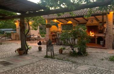 Entre naranjos - Foto 1