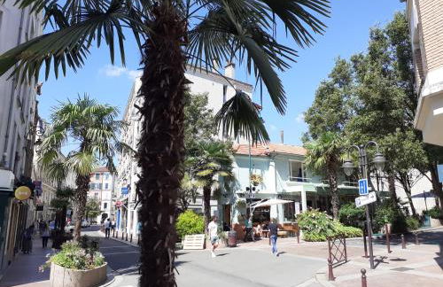 Maison individuelle avec terrasse Nogent sur Marne - Foto 12