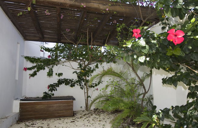 Downtown Apartment Oasis 12 - Photo 54