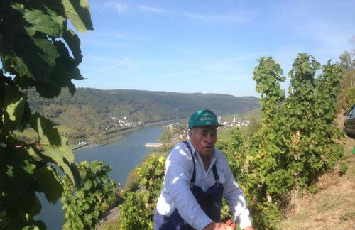 Ferienhaus Atelier - Foto 36