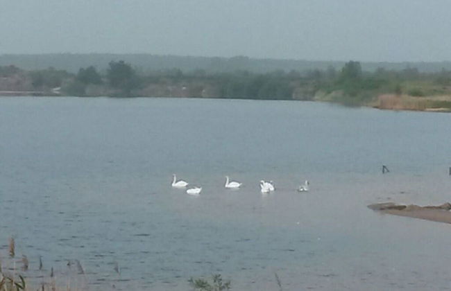 Holiday House House on Muhlfeldsee - Foto 11