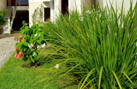 Residencial Portinari LTDA - Foto 50