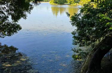 Nature Getaway Charming Villa Near Trails & Parks - Foto 79