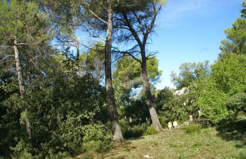 Villa in Crillon-le-Brave near Mont Ventoux - Foto 29