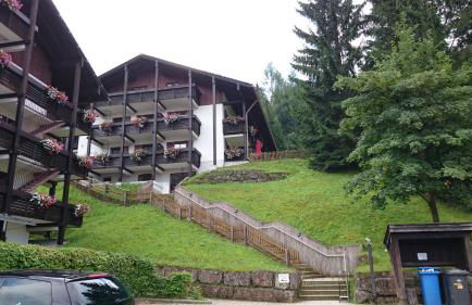 Ferienwohnung Buchenhöhe - Foto 8