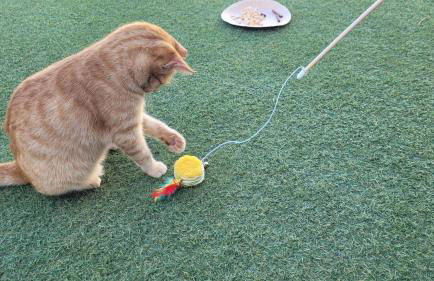 Casa Guisguey - Foto 2