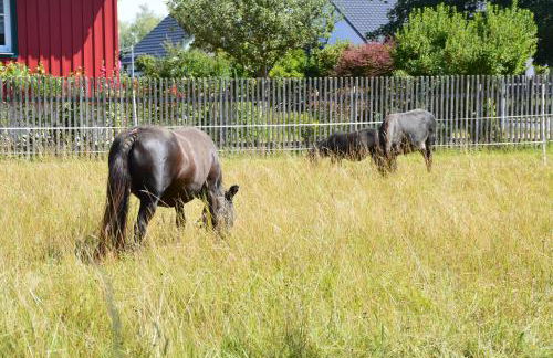 Haus Harzblick - Foto 6