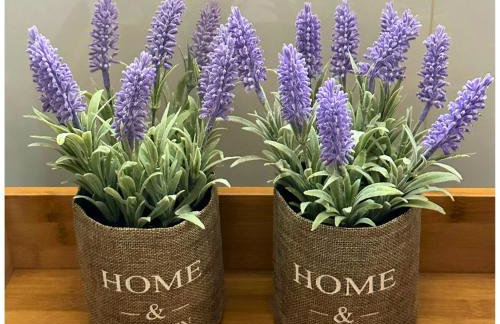 Memories Apartments Μονοκατοικία στο Καρπενήσι - Foto 11