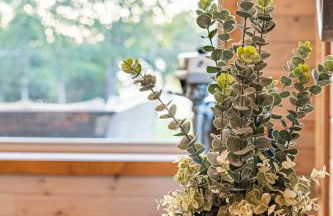 Stunning Eufaula Waterfront Home in Dixie Cove - Foto 6