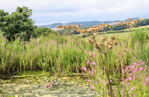 Callow Fold - Foto 20