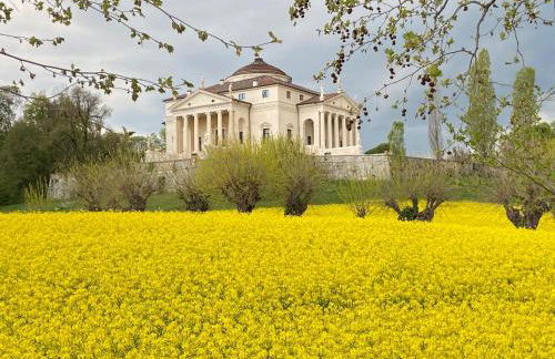 alle scalette due brogliano - Foto 21