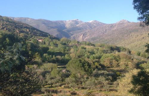 La Garzona - Foto 51