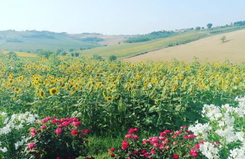 Il Giardino nella Valle - Foto 9