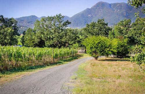 Calistoga Vineyard Getaway - Wine Tastings Included - Foto 45