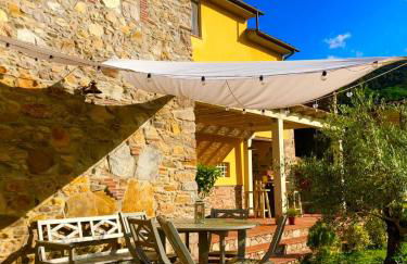 Intero alloggio campagna Lucca - Foto 34