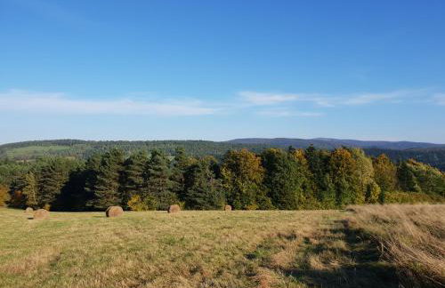 Przystanek Letnisko - Foto 40