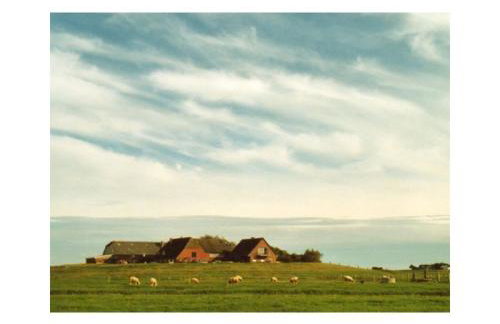 Friesenblau im Haus Schladenhaufen - Foto 2