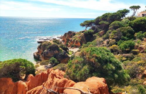 Modern Ocean, Garden & Pool view Condo by BeCherish - Foto 43