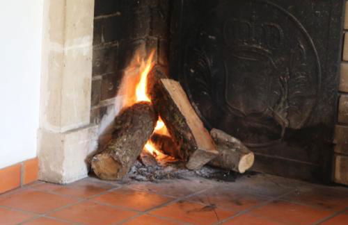 Les Chenevières - Foto 21