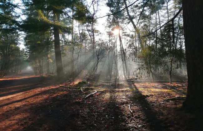 Villa in Someren Near Somerense Heide - Photo 41