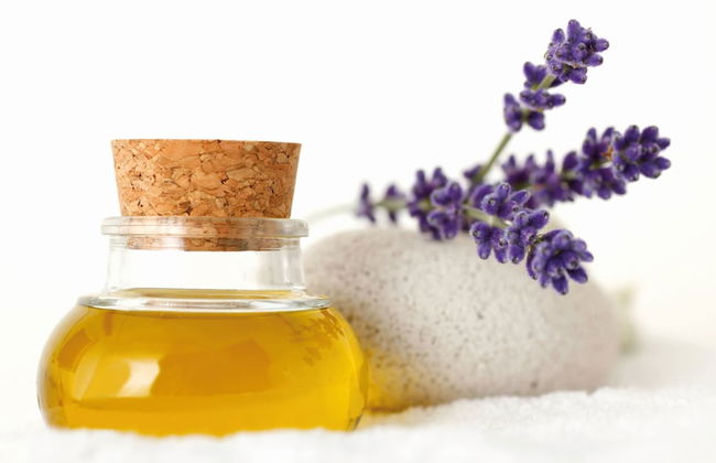 Paradise Resort - Foto 43