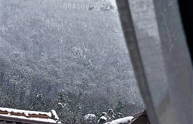 92 Residence - Photo 79