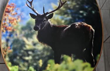 Ferienwohnung Harzgefühl - Foto 24