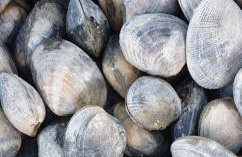 Gîte d'Anne et Ulysse - Foto 49