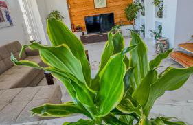 Villa castros delmare - Photo 77