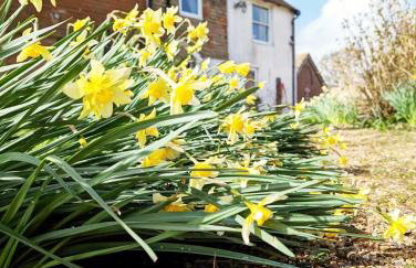 Humphries Cross Apartments - Foto 77