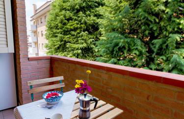 Burò il Viaggiatore - Foto 14