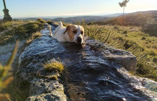 Aldeia de Moura Morta - Foto 51