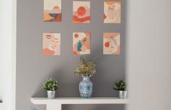 L'ulivo e il colibrì - Foto 13