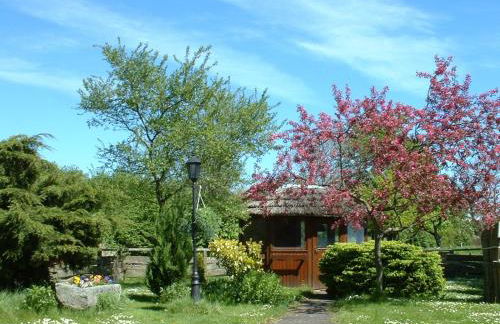 Ferienhof Gintoft - Foto 22