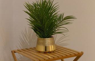 Chaleureux duplex 30 min de Paris - Foto 17