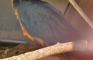 Nid du merle avec sauna et jacuzzi privatif - Foto 57