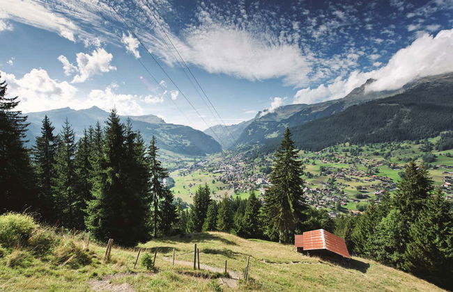 Grindelwald & First Mountain Day Trip - Photo 1