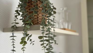 ZwoLu Apartments - Foto 4