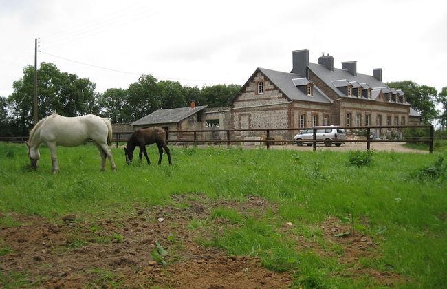 Le Manoir de Briquedalles - Foto 19