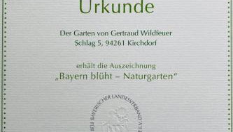 Apartment Wildfeuer by Interhome - Foto 3