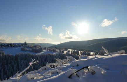 Rennsteig-Pension Trautwein - Foto 23