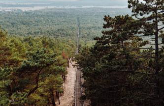 Słowiński Zakątek - Foto 52