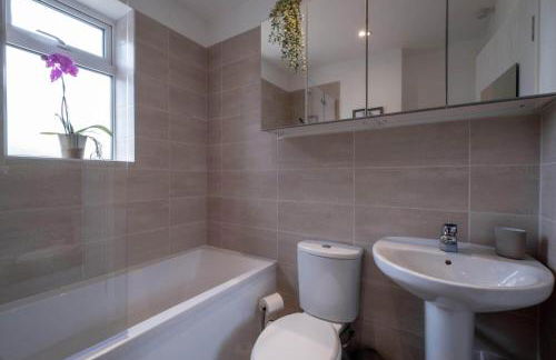 Little Nye - Foto 15